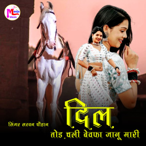 Album Dil Tod Chali Bewafa Janu Mari from 