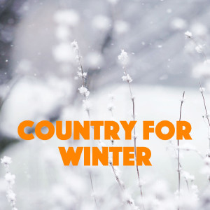 Listen to Sunday Morning Coming Down song with lyrics from Johnny Cash
