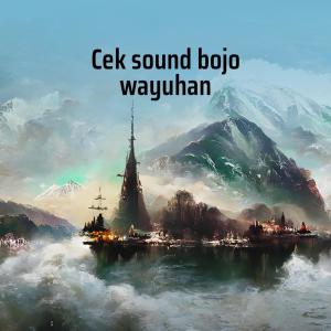 Abang yugha的专辑Cek Sound Bojo Wayuhan