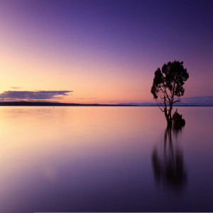 Listen to LK Mưa Trên Quê Hương, Mừng Xuân Sang song with lyrics from Cát Tuyền