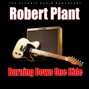 收听Robert Plant的Big Log (Live)歌词歌曲