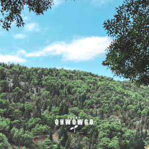 Album Hold It (Explicit) from OHWOWGO Jordy