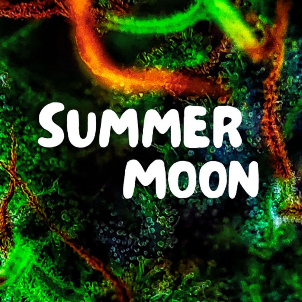 Summer Moon