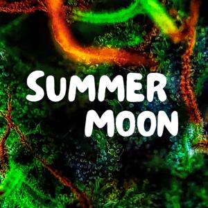收聽DJ Fronteo的Summer Moon歌詞歌曲