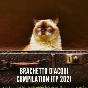 Dengarkan Divings (Radio Vrs.) lagu dari Avigo & Attanasio dengan lirik