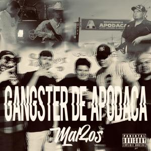 ดาวน์โหลดและฟังเพลง GANGSTER DE APODACA (Explicit) พร้อมเนื้อเพลงจาก Mal2os