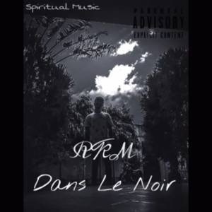 Album Dans le Noir (Explicit) from RKM