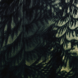 Album Evergreen from Purbi (펄비)
