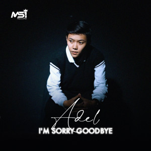 ดาวน์โหลดและฟังเพลง I'm Sorry Goodbye พร้อมเนื้อเพลงจาก Adel