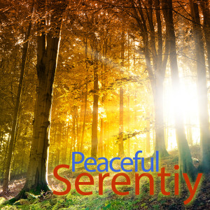 Album Peaceful Serenity Music - Relaxing New Age Instrumentals oleh New Age Harp Group