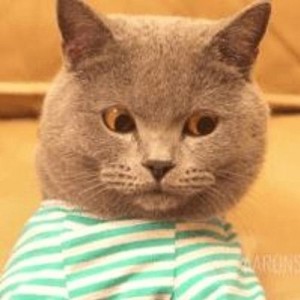 收听Hesham Watany的Triggered歌词歌曲