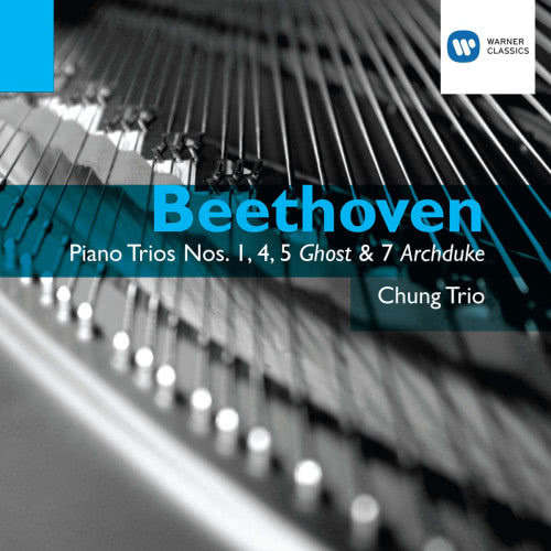 Piano Trio No. 1 in E-Flat Major, Op. 1 No. 1: IV. Finale. Presto