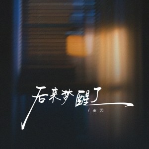 อัลบัม 后来梦醒了 ศิลปิน 田园