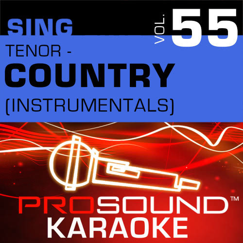 All Night Long (Karaoke Instrumental Track) [In the Style of Montgomery Gentry]