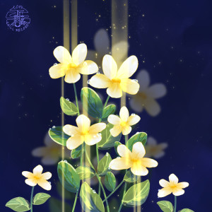 ดาวน์โหลดและฟังเพลง Tropfen พร้อมเนื้อเพลงจาก Miramare