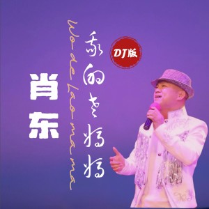 Listen to 我的老妈妈(DJ阿能版) (完整版) song with lyrics from 肖东