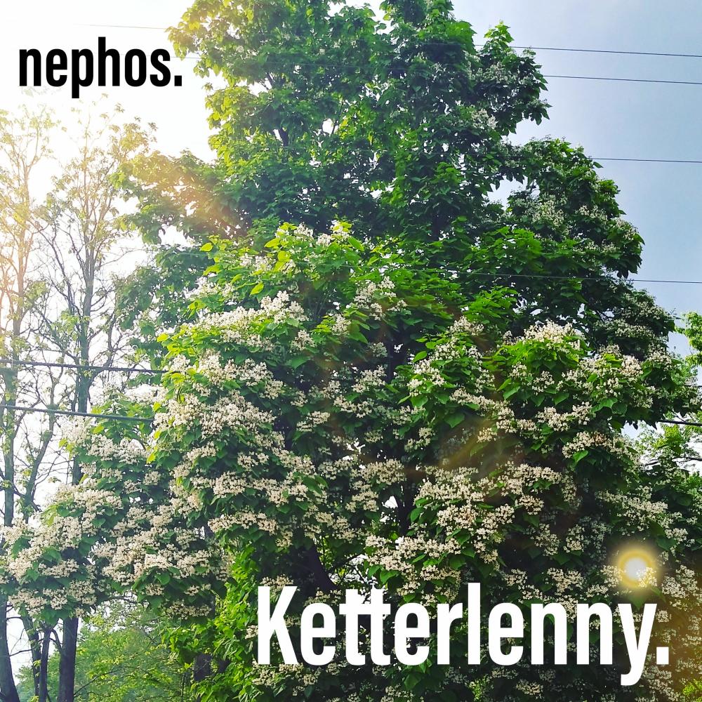 Ketterlenny.