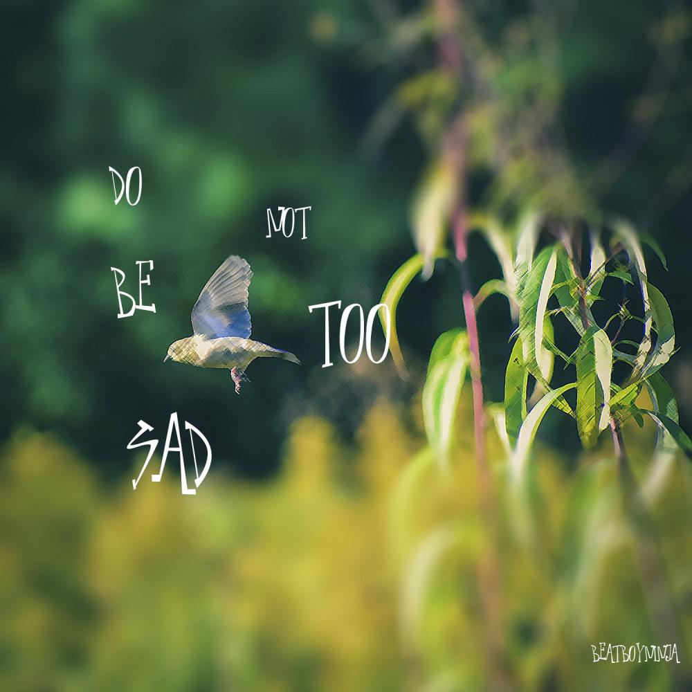 Wind is a Song
