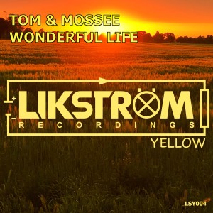 收聽Tom & Mossee的Wonderful Life (Radio Edit)歌詞歌曲
