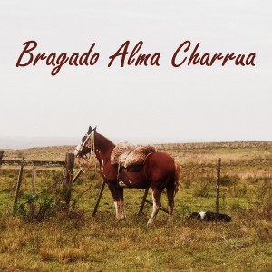 收聽Gustavo Martins GM的Bragado Alma Charrua歌詞歌曲