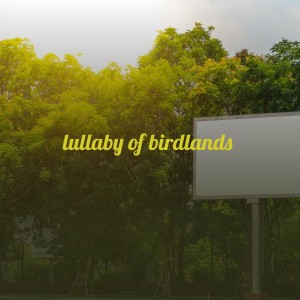 Listen to One by One (Live) song with lyrics from Wynton Marsalis