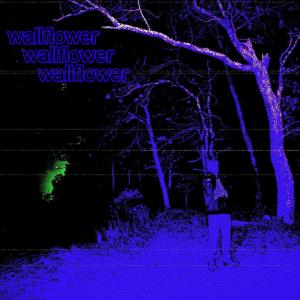 收聽phlushd的no expectations (Explicit)歌詞歌曲