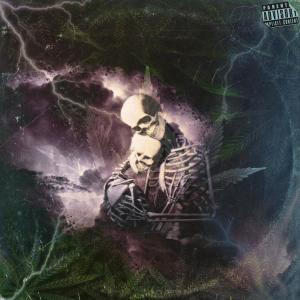 Album ZONE 420 (Explicit) from qonran