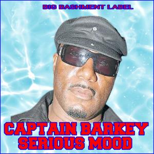 ดาวน์โหลดและฟังเพลง Serious Mood (feat. Captain Barkey) พร้อมเนื้อเพลงจาก Bobby Lickshot Aka Bobby Shotta