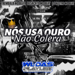 收聽WL DAS PLAYLIST的Nos Usa Ouro Não Colera (Arrochadeira)歌詞歌曲