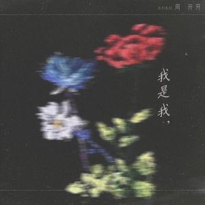 Dengarkan 我是我， (伴奏) lagu dari 周开开 dengan lirik
