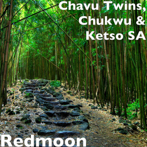 Listen to Redmoon song with lyrics from Chavu Twins