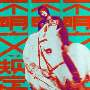 收聽陳蕾 Panther Chan的不明文規定歌詞歌曲
