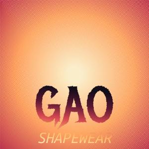 Dengarkan lagu Gao Shapewear nyanyian Pachel Bhai dengan lirik