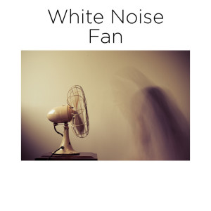ดาวน์โหลดและฟังเพลง White Noise Fan พร้อมเนื้อเพลงจาก BodyHI