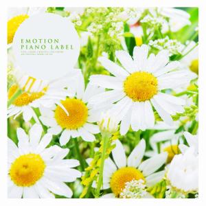 Album Healing Piano With Warm Spring from Various Artists