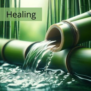 Calming Water Consort的專輯Healing Water for Spa (Relaxing Zen, Bamboo Meditation Fountain, Sleep)