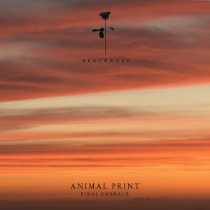ดาวน์โหลดและฟังเพลง The One พร้อมเนื้อเพลงจาก Animal Print
