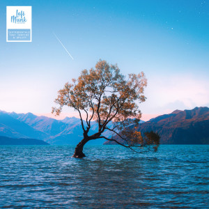 Album Raw from Lofi Munk Music
