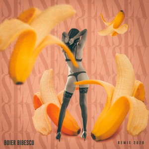 Listen to Sex (Remix 2020) song with lyrics from Boier Bibescu