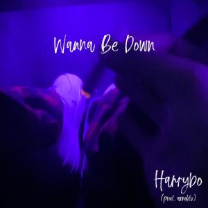 Harri的專輯Wanna Be Down (Explicit)