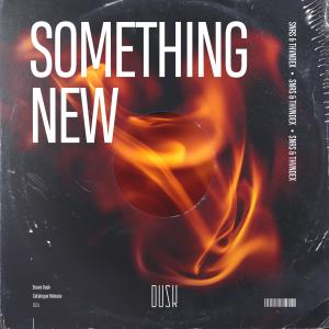 收聽SNRS的Something New歌詞歌曲