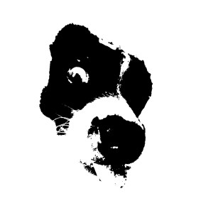Listen to Onko Teidän Lapsenne Koira? (Explicit) song with lyrics from Helle