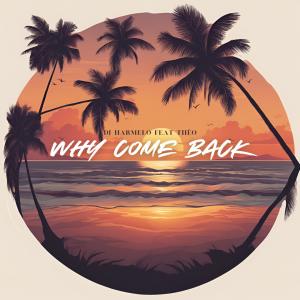 收聽Dj Harmelo的Why Come Back (feat. Thëo)歌詞歌曲