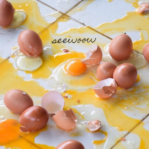 Seewoow的专辑На ошибках