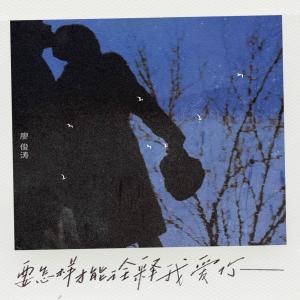 收听廖俊涛的要怎样才能诠释我爱你歌词歌曲