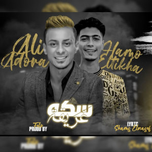 Listen to سكه غريقة song with lyrics from على قدورة وعلى ويكا