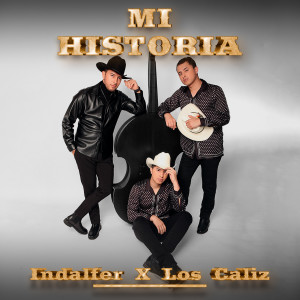 ดาวน์โหลดและฟังเพลง Mi Historia พร้อมเนื้อเพลงจาก Indalfer Ochoa