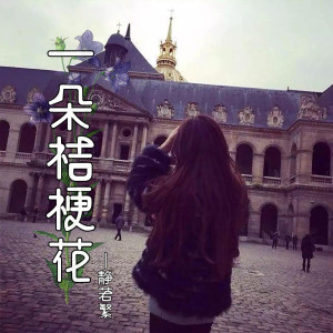 一朵桔梗花 dari 静若繁