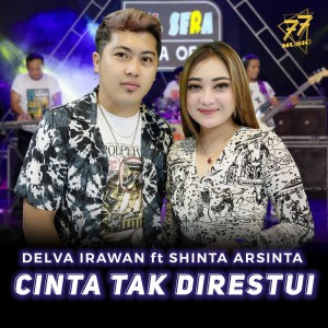 Dengarkan Cinta Tak Direstui lagu dari Delva Irawan dengan lirik