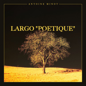 Antoine Minot的专辑Largo "Poetique"